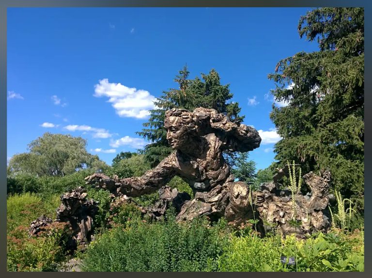 The Chicago Botanic Garden: A Haven for Nature and Learning